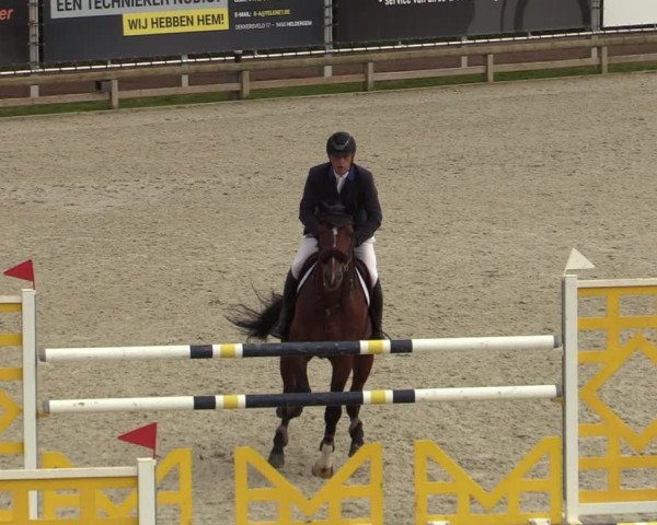 FEI Reitturnier Lier (BEL) 2020