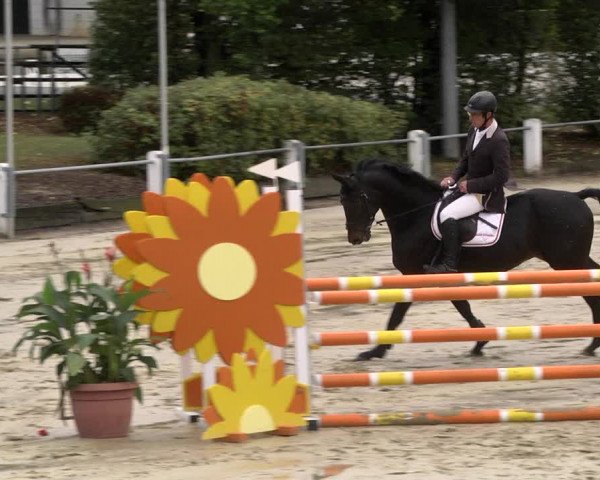 Reitturnier Schutterwald 2020