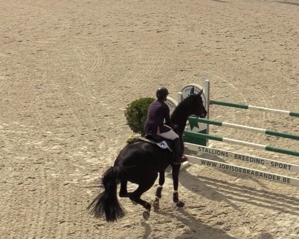 FEI Reitturnier Lier (BEL) 2020