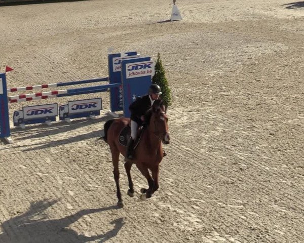 FEI Reitturnier Lier (BEL) 2020