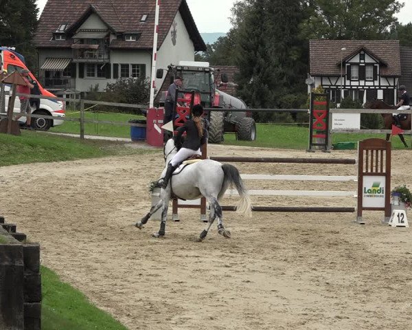 Reitturnier Wädenswil 2020