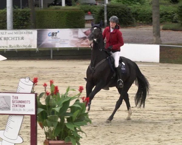 Reitturnier Schutterwald 2020