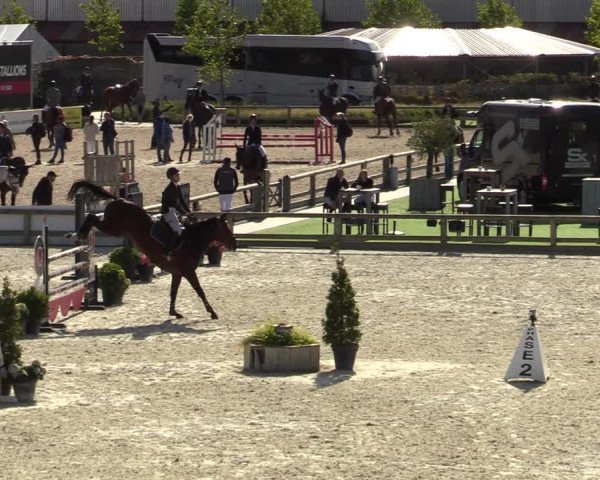 FEI Reitturnier Lier (BEL) 2020