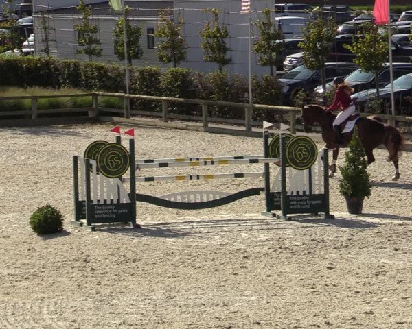 FEI Reitturnier Lier (BEL) 2020