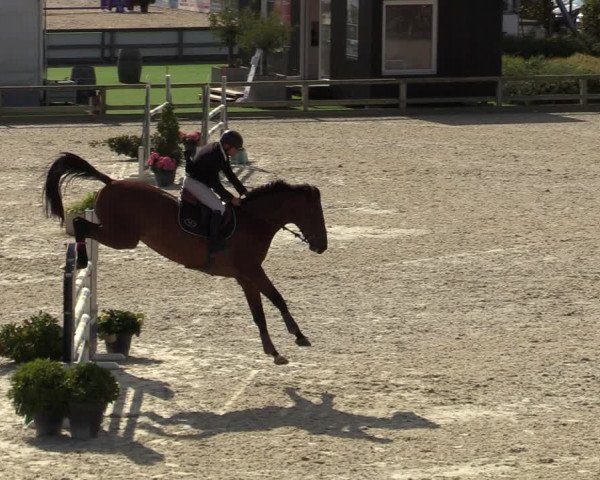 FEI Reitturnier Lier (BEL) 2020