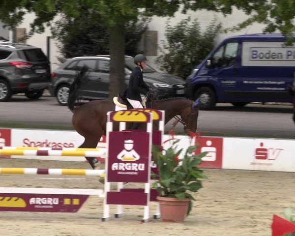 Reitturnier Schutterwald 2020