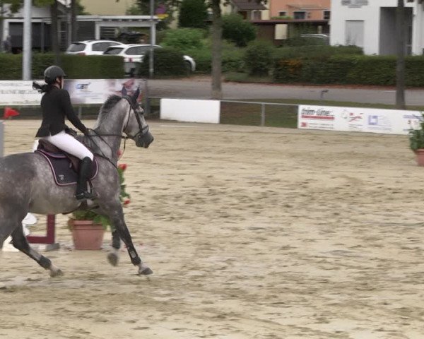 Reitturnier Schutterwald 2020