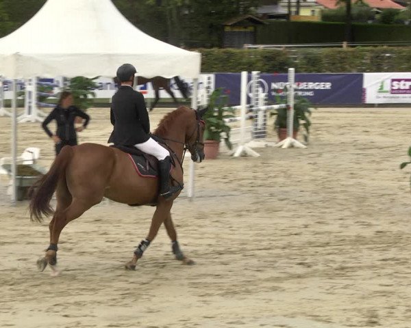Reitturnier Schutterwald 2020