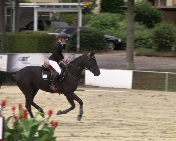 Reitturnier Schutterwald 2020