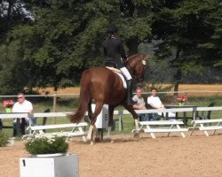 horse Latissio (Westphalian, 2010, from Lissaro)