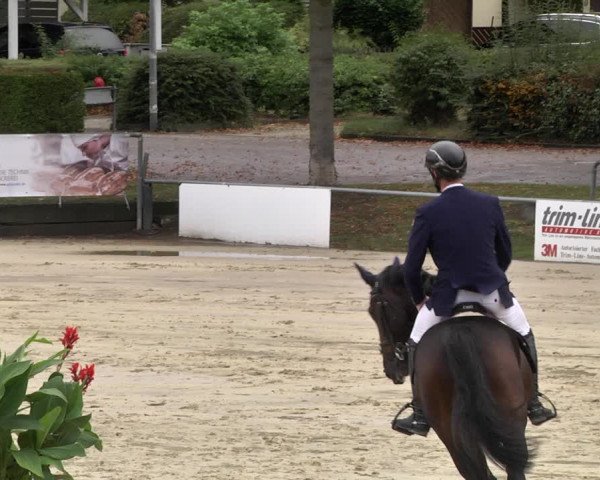 Reitturnier Schutterwald 2020
