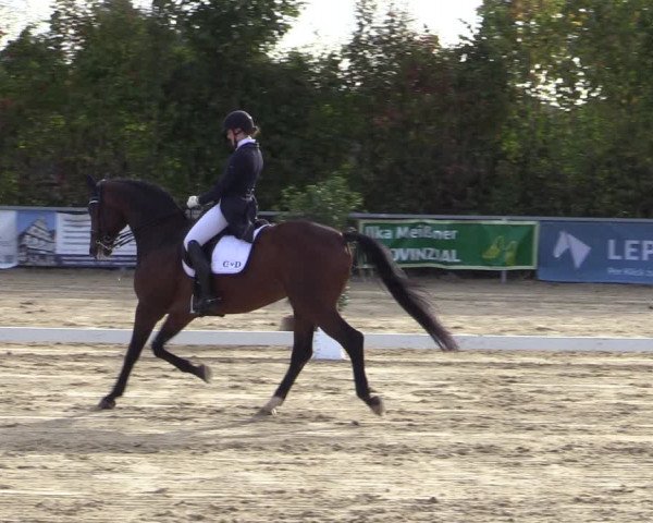 Reitturnier Fröndenberg 2020