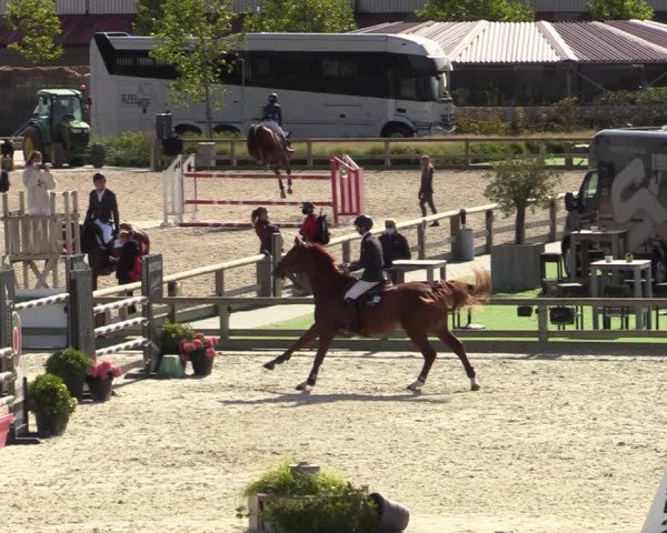 FEI Reitturnier Lier (BEL) 2020