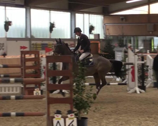 jumper Carlos G (Westphalian, 2008, from Cristallo I)
