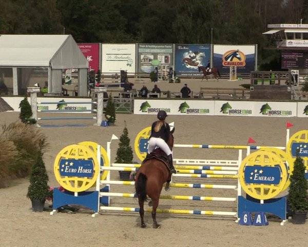 FEI Reitturnier Lier (BEL) 2020