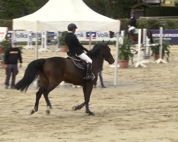 Reitturnier Schutterwald 2020