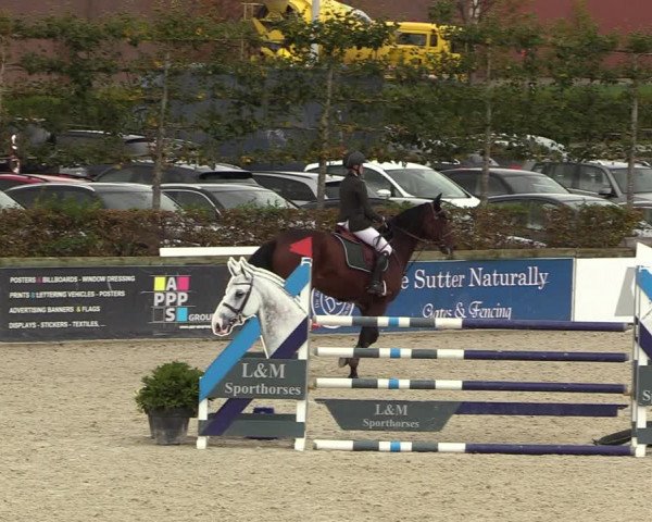 FEI Reitturnier Lier (BEL) 2020