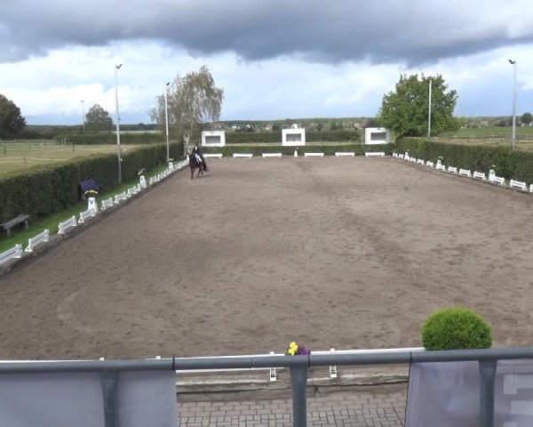 Reitturnier Übach-Palenberg - Scherpenseel 2020