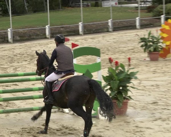 Reitturnier Schutterwald 2020
