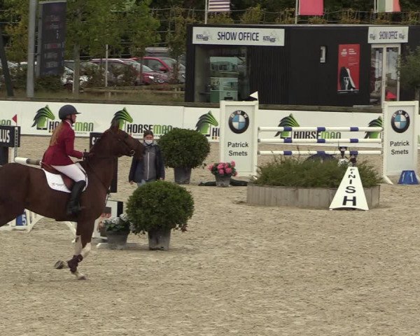 FEI Reitturnier Lier (BEL) 2020