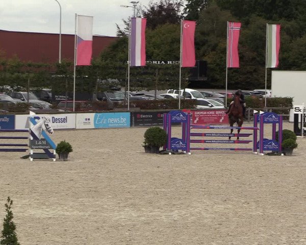 FEI Reitturnier Lier (BEL) 2020