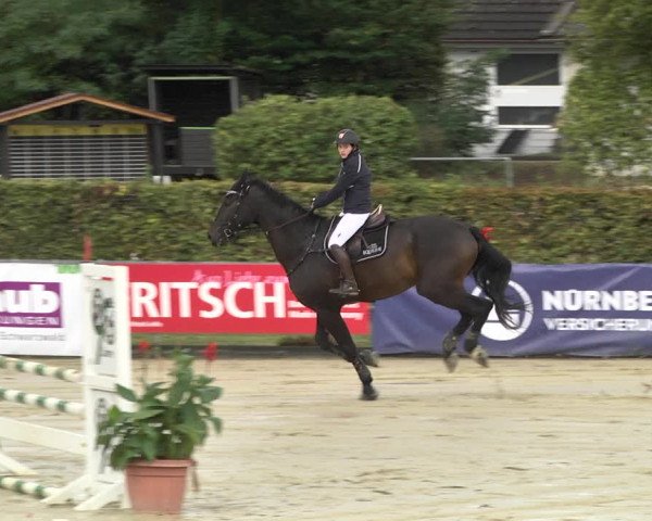 Reitturnier Schutterwald 2020