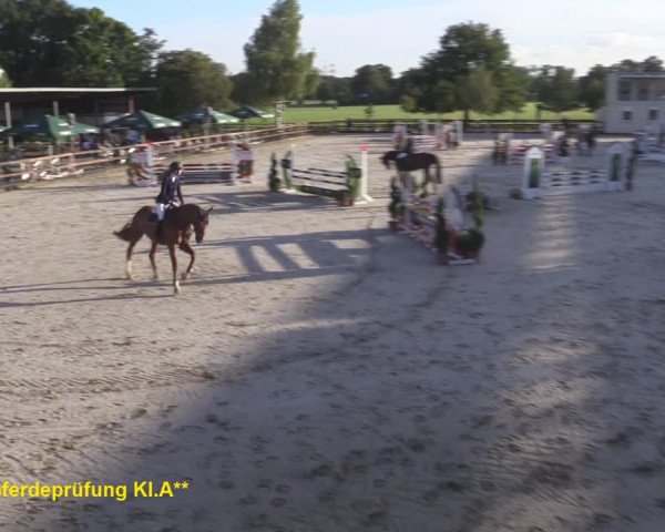 Reitturnier Kirchhellen/Stall Dieckmann 2020