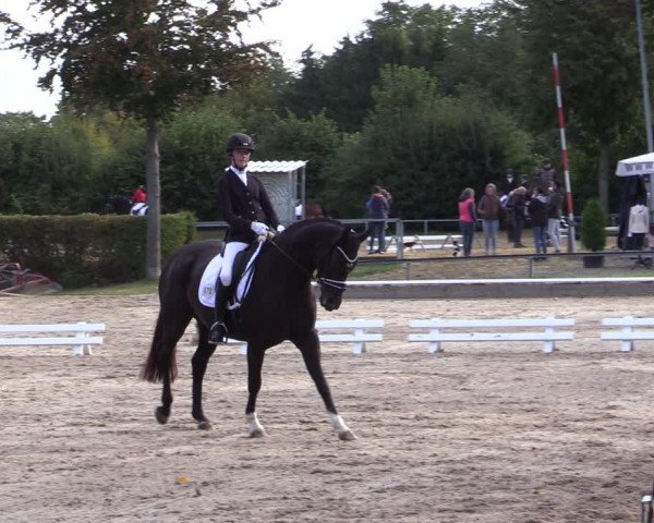 Reitturnier Fröndenberg 2020