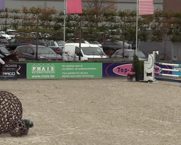 FEI Reitturnier Lier (BEL) 2020