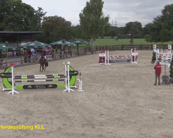 Reitturnier Kirchhellen/Stall Dieckmann 2020