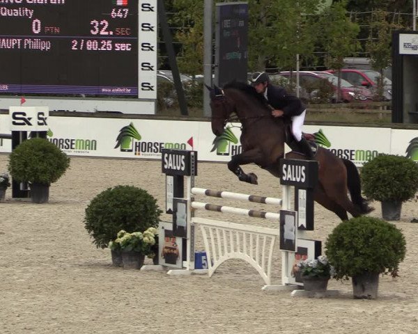 FEI Reitturnier Lier (BEL) 2020