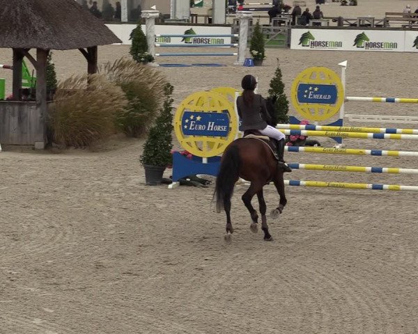FEI Reitturnier Lier (BEL) 2020