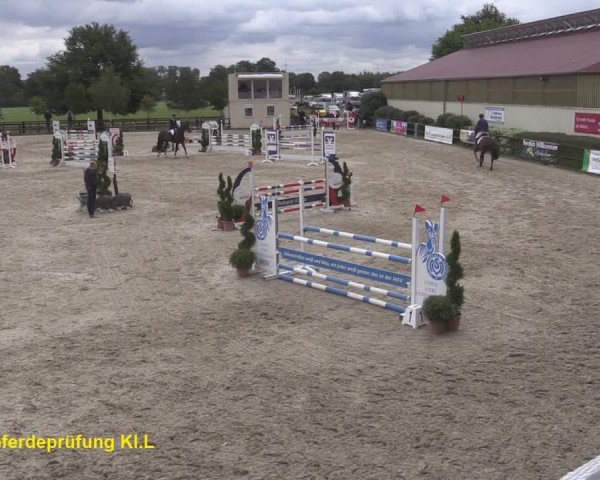 Reitturnier Kirchhellen/Stall Dieckmann 2020