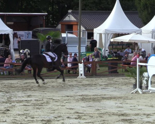 Equus Colonius - Reitanlage Brüse Köln 2021