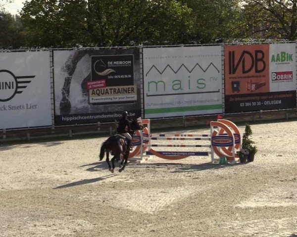 FEI Reitturnier Lier (BEL) 2020
