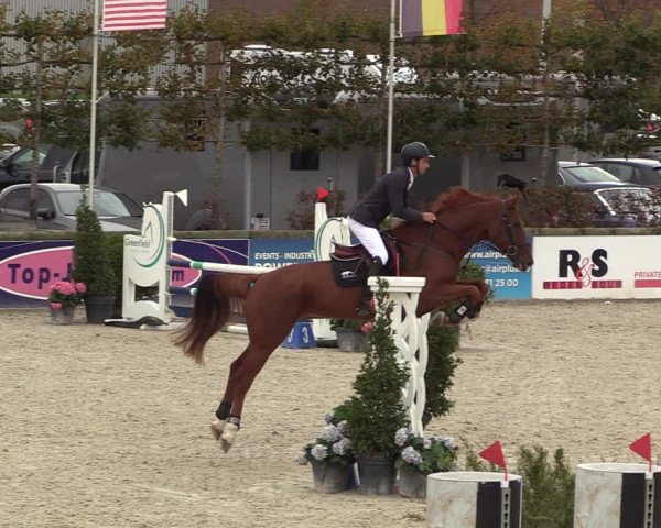 FEI Reitturnier Lier (BEL) 2020