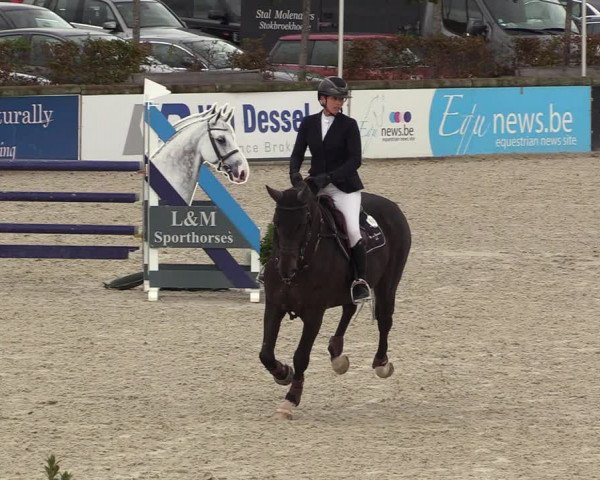 FEI Reitturnier Lier (BEL) 2020