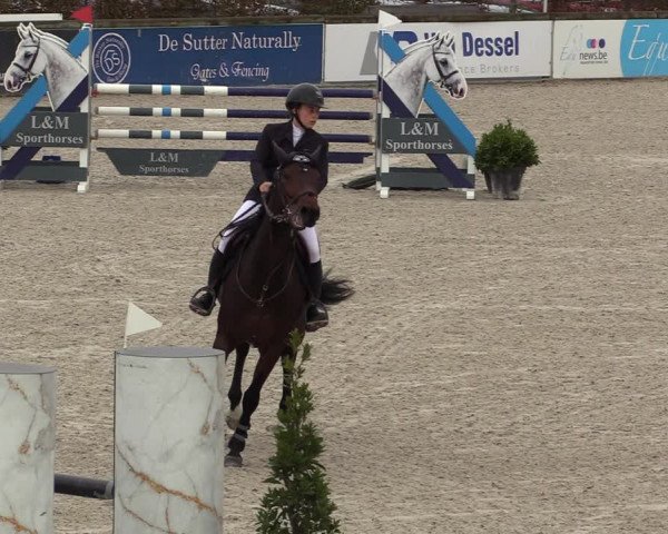 FEI Reitturnier Lier (BEL) 2020
