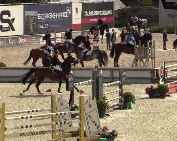 FEI Reitturnier Lier (BEL) 2020