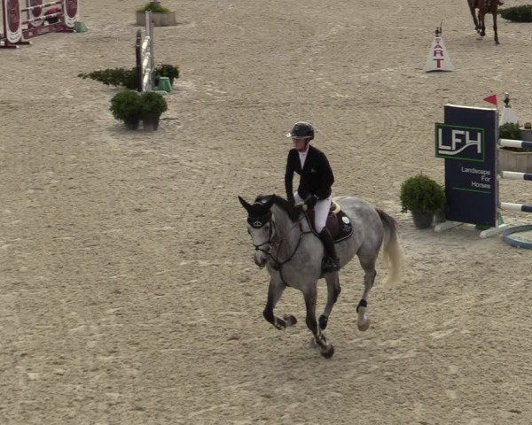 FEI Reitturnier Lier (BEL) 2020