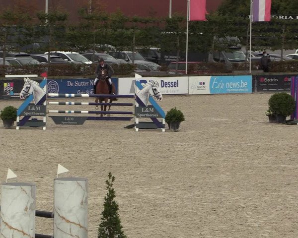 FEI Reitturnier Lier (BEL) 2020