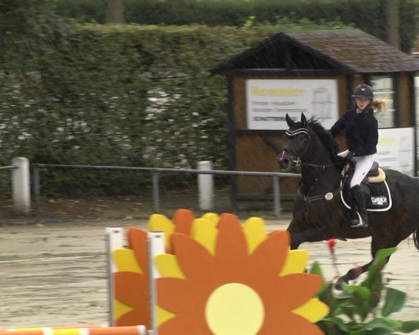 Reitturnier Schutterwald 2020