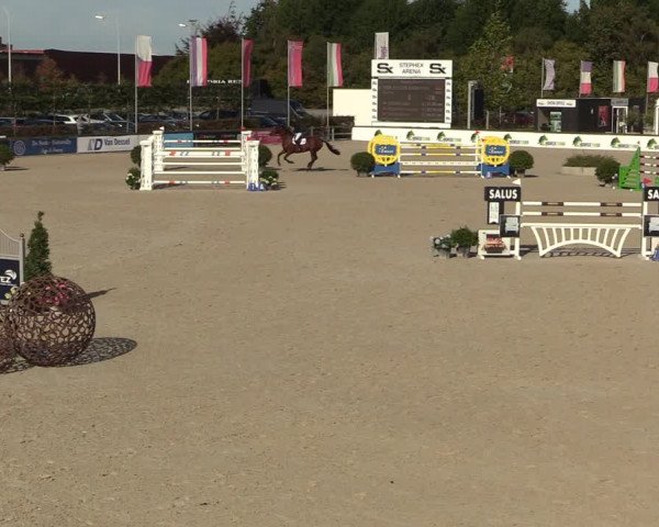 FEI Reitturnier Lier (BEL) 2020