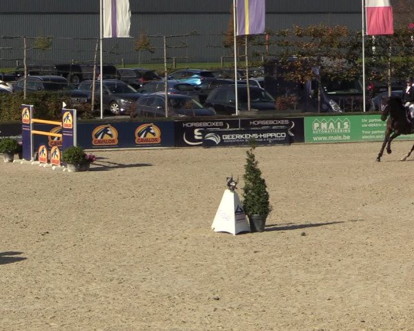 FEI Reitturnier Lier (BEL) 2020