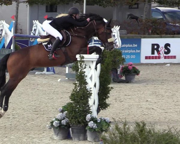 FEI Reitturnier Lier (BEL) 2020