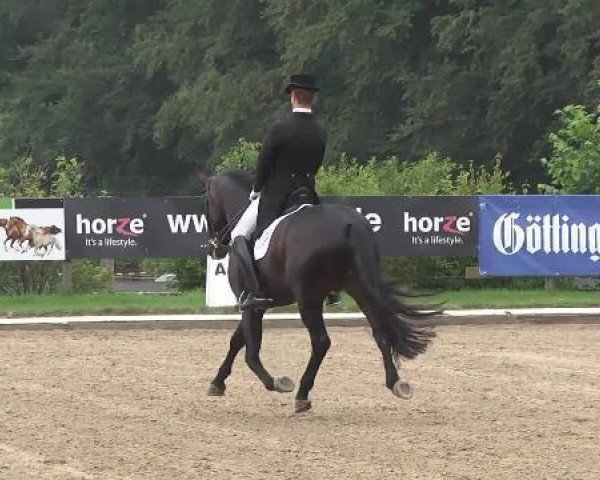 dressage horse Fellow Plus (Hanoverian, 2007, from Fidertanz)