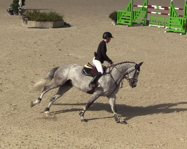 FEI Reitturnier Lier (BEL) 2020