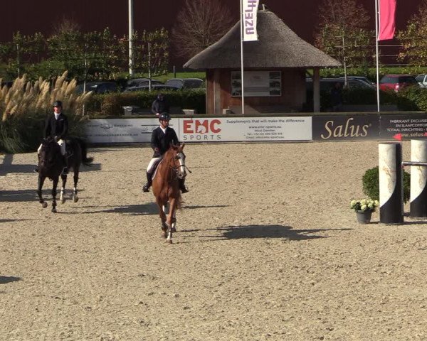 FEI Reitturnier Lier (BEL) 2020