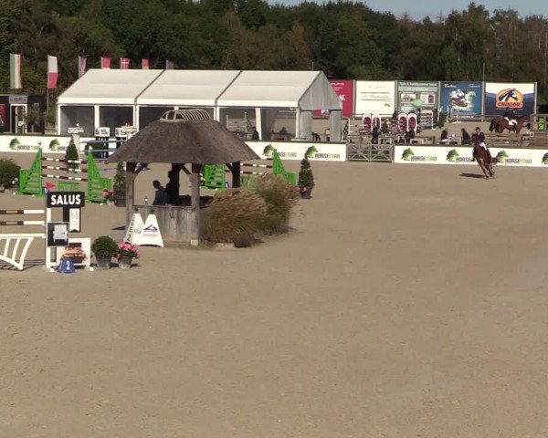 FEI Reitturnier Lier (BEL) 2020