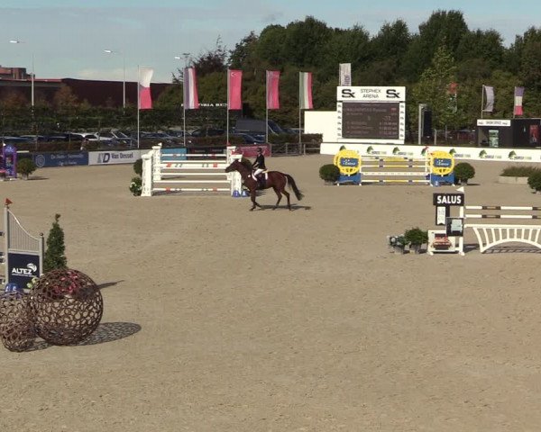 FEI Reitturnier Lier (BEL) 2020